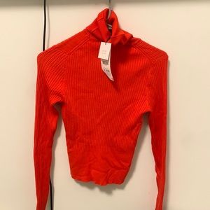 Zara Fitted Turtleneck